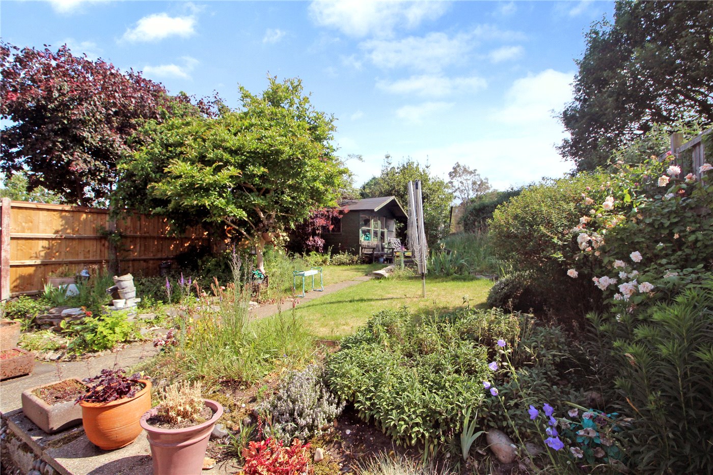Garden